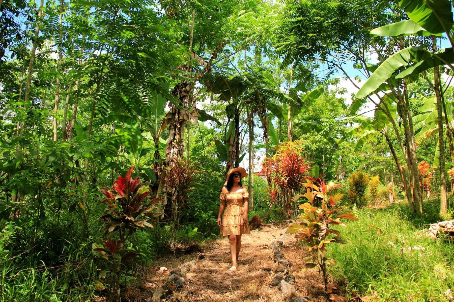 Natura Gardens Galapagos Bellavista  Kültér fotó